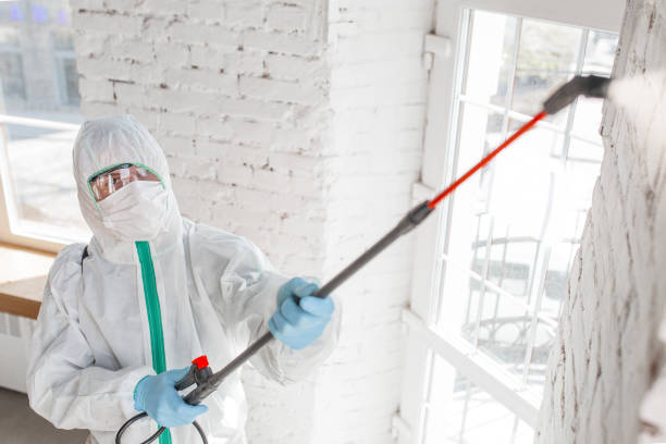 Best Air Quality Testing for Mold Spores  in Mountain View Ranches, AZ