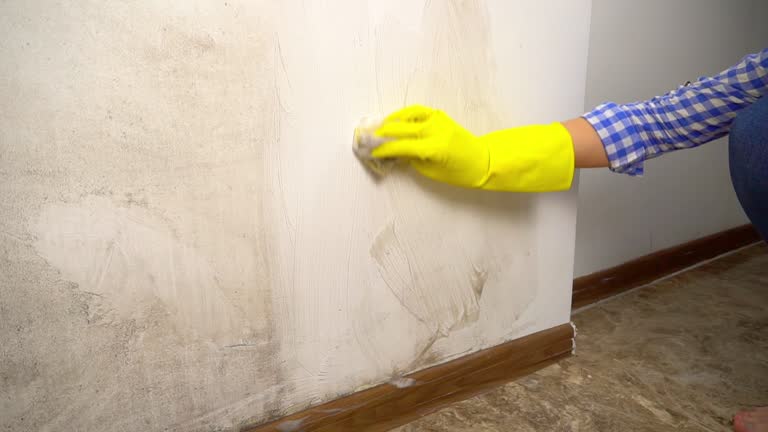 Best Dehumidification Services  in Mountain View Ranches, AZ
