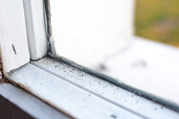 Best Mold Documentation for Insurance Claims  in Mountain View Ranches, AZ