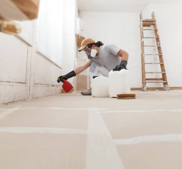 Best Mold Remediation for Healthcare Facilities  in Mountain View Ranches, AZ